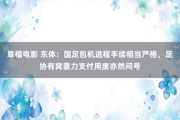 草榴电影 东体：国足包机进程手续相当严格，足协有窝囊力支付用度亦然问号